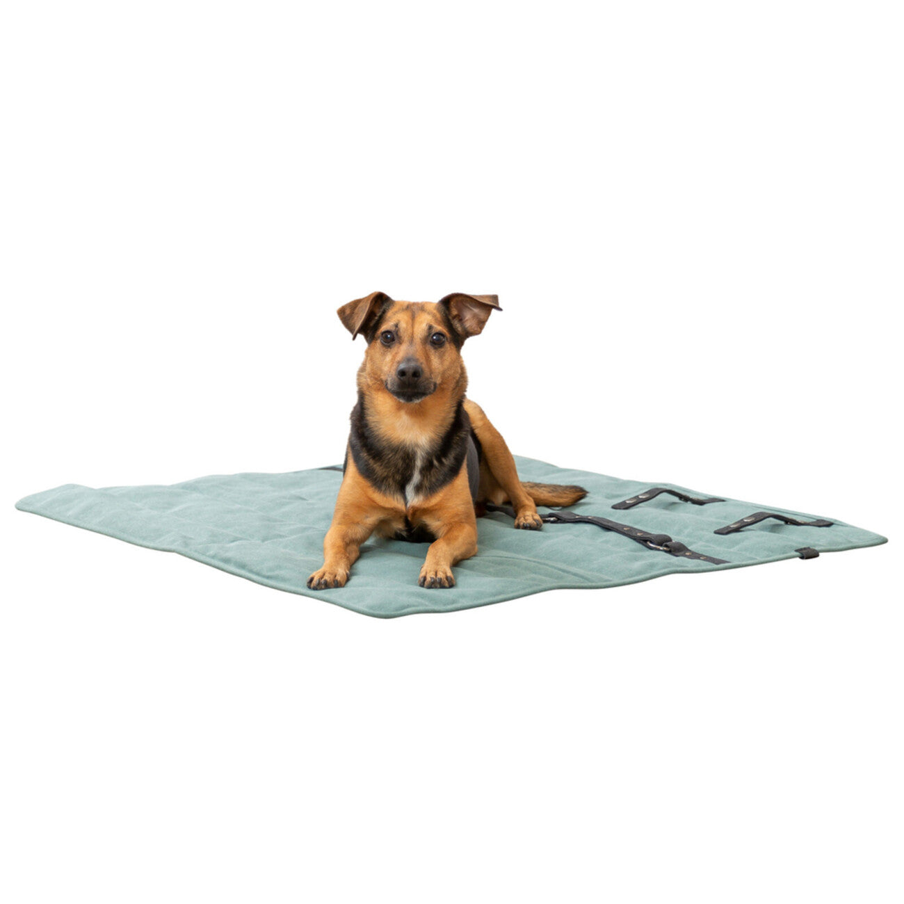 Reisedecke CityStyle, eckig – 80 × 80 cm, salbei