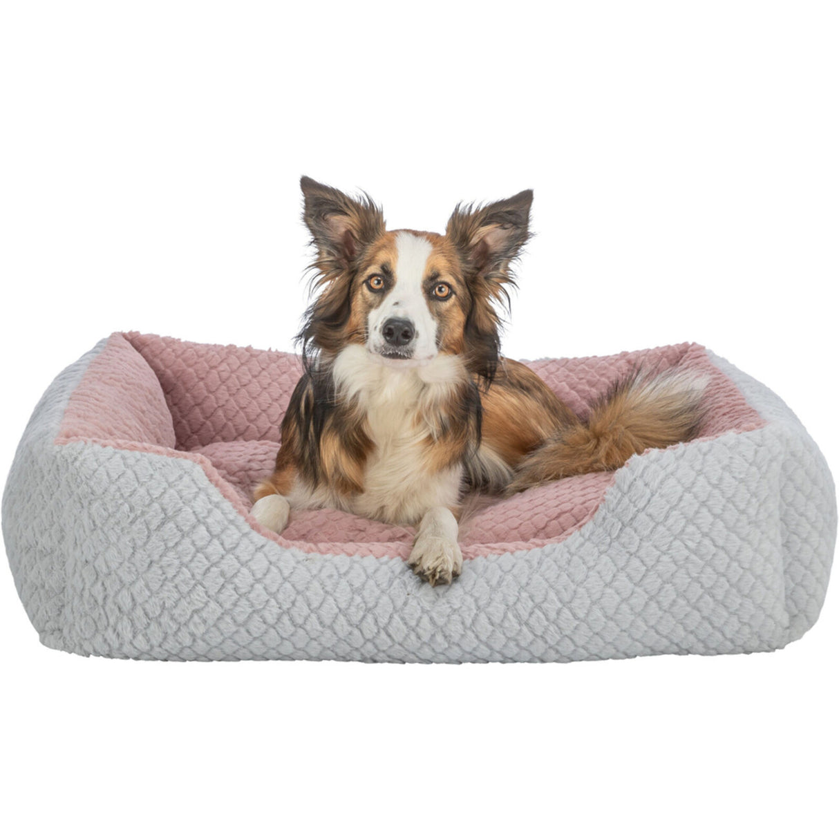 Bett Kaline Mio, eckig für Hunde