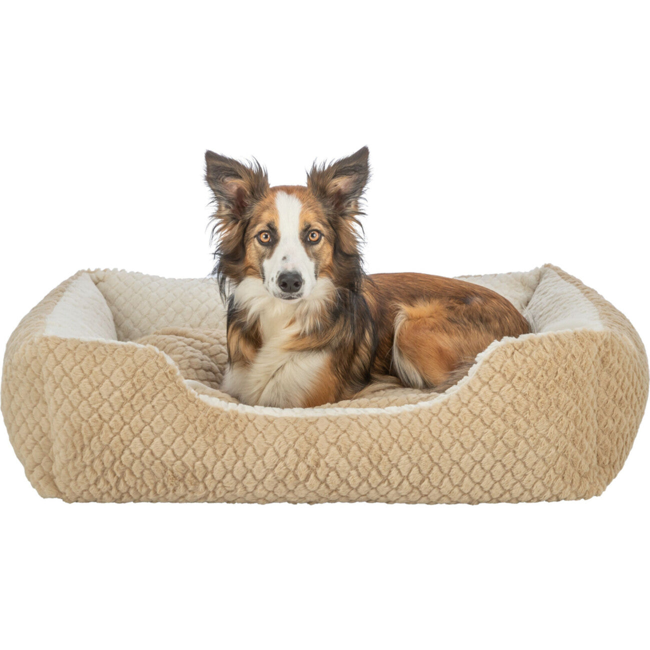 Bett Kaline Mio, eckig für Hunde