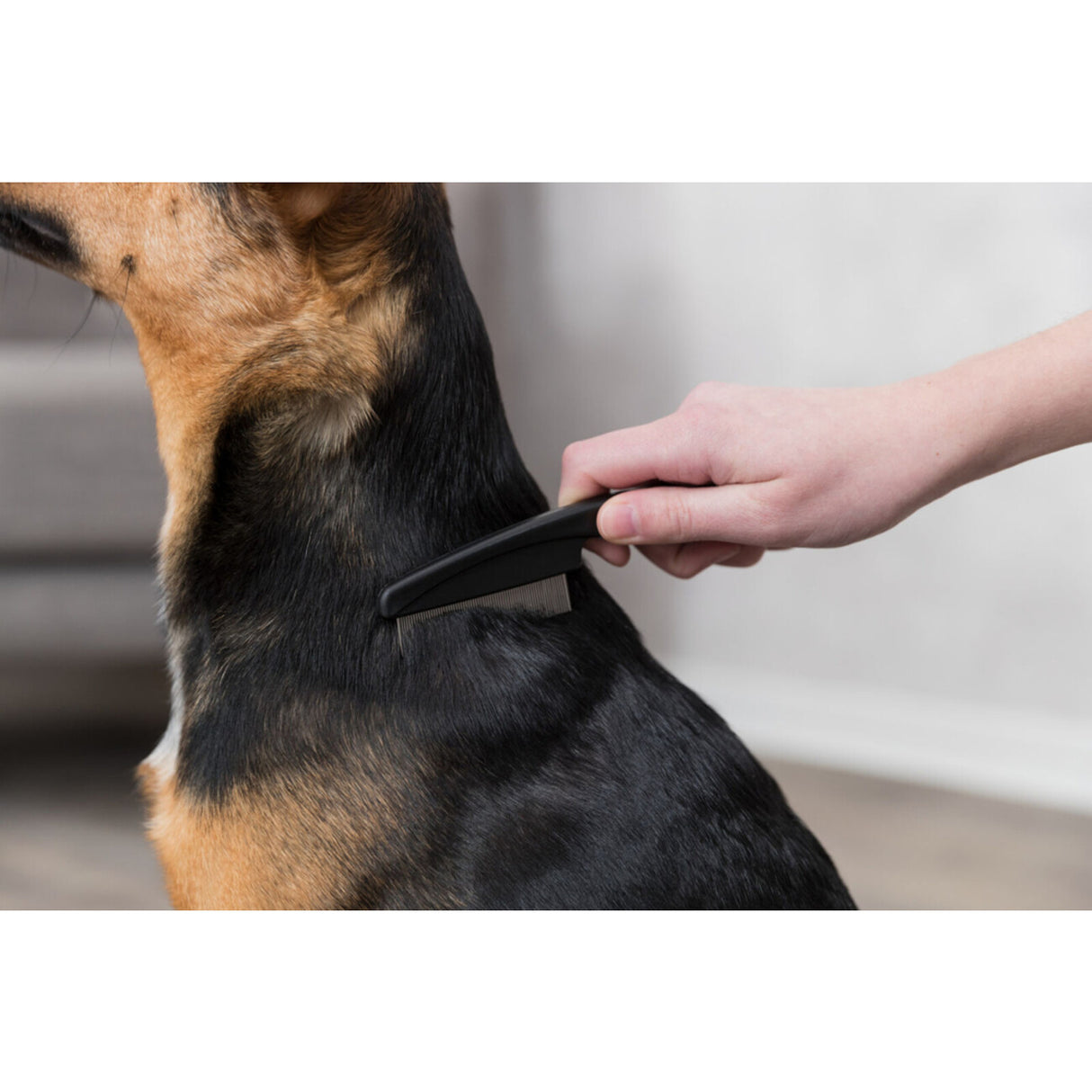 Flohkamm Läusekamm für kleine Hunde – 15 cm