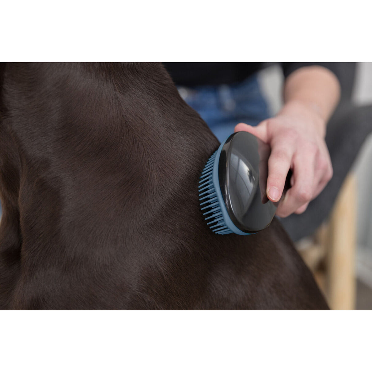 Trixie Hundebürste Soft – 19 cm