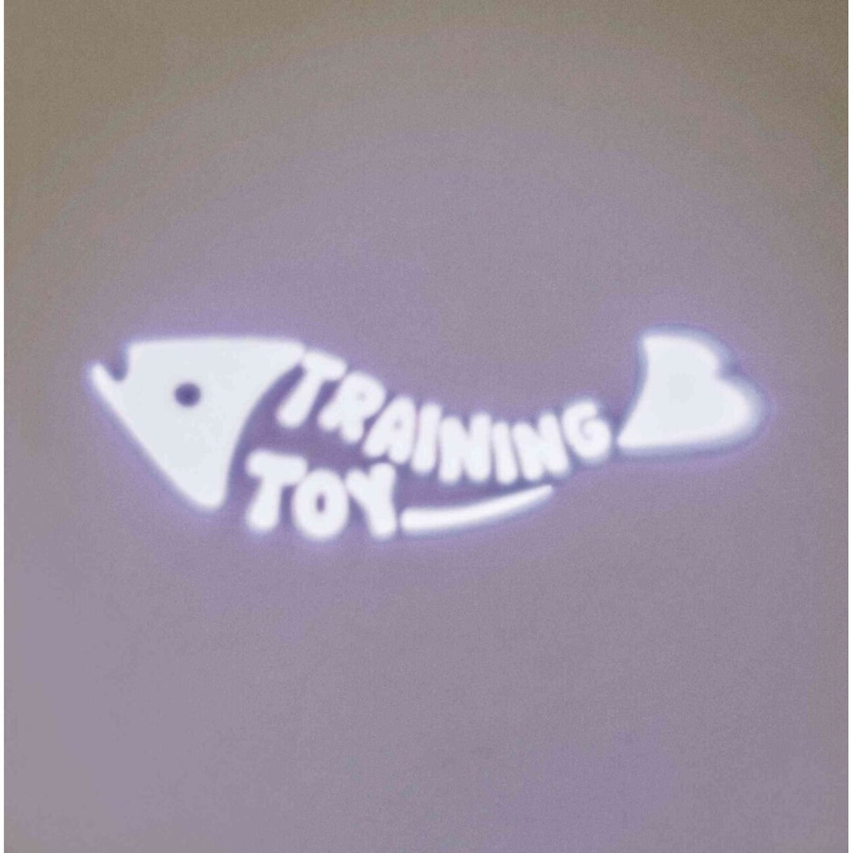 LED Laserpointer für Katzen – 8 cm