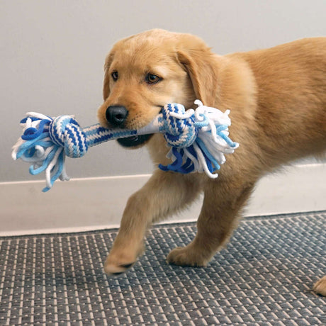 Rope Stick Puppy - Welpenspielzeug für unbeschwerten Spielspaß – 26 x 7,0 cm