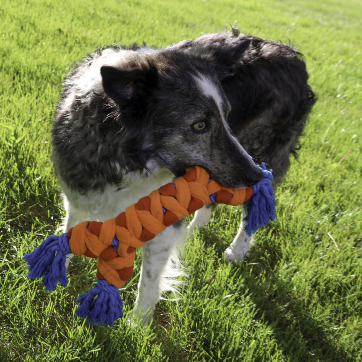 Rally Bone Seilspielzeug für Hunde – 38 cm