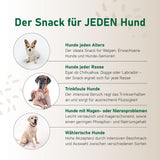 Probierpaket "Mix" - für jeden Hund! – 6er Mix Paket