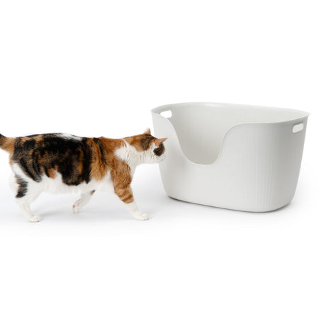 Catit Katzentoilette Loo incl. Streuschaufel