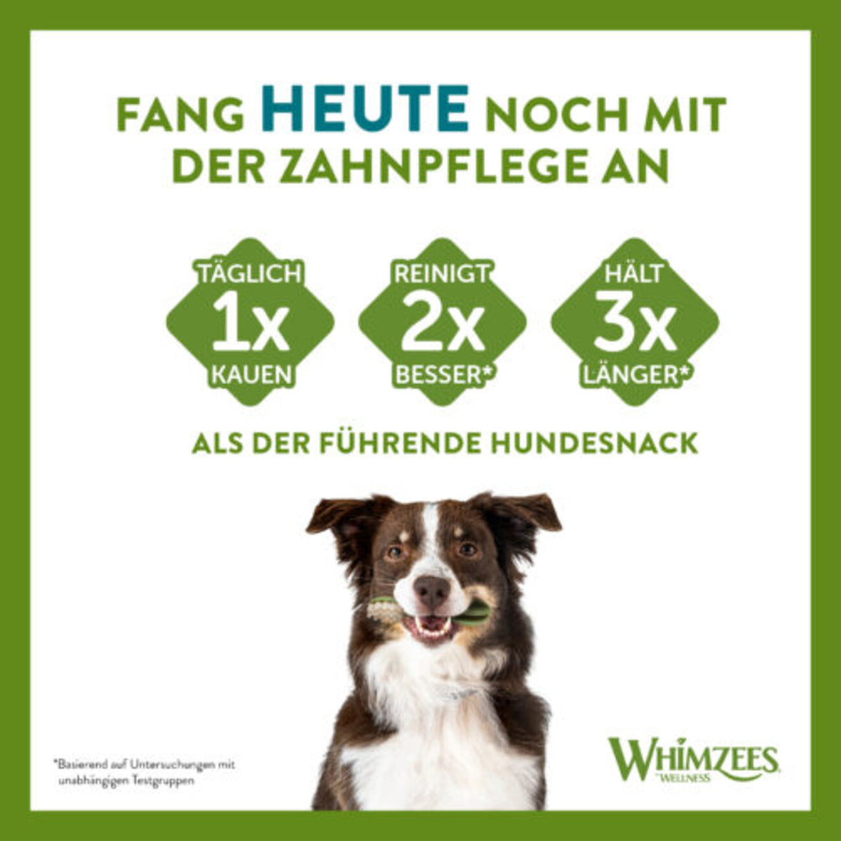 WHIMZEES® Zahnpflege Stix Hundesnack, lose