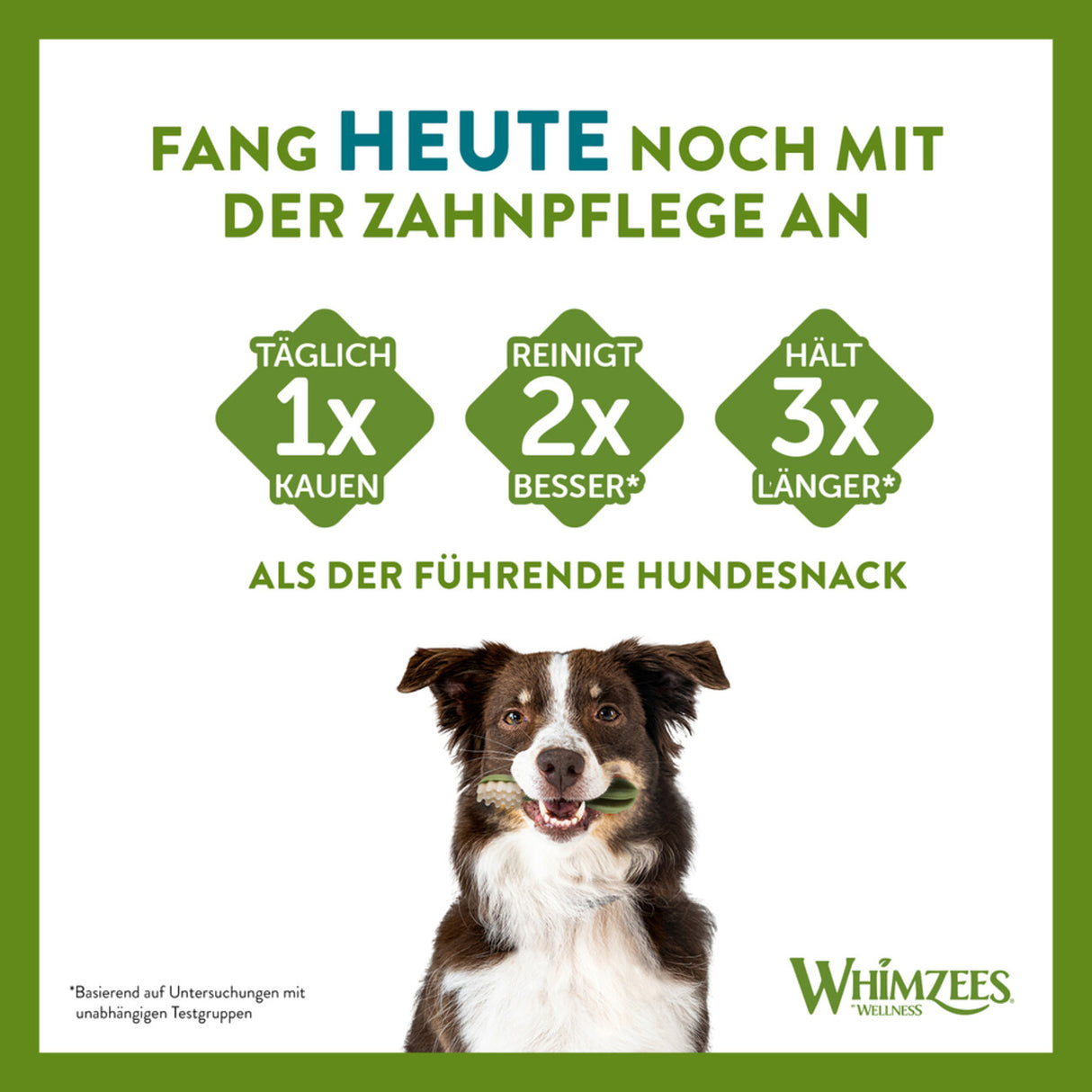WHIMZEES® Reisknochen Zahnpflege Hundesnack Größe: M/L – M/L 360 g
