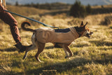 Ruffwear Timberline Fuse™ – Fleeceweste mit integriertem Hundegeschirr