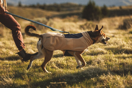 Ruffwear Timberline Fuse™ – Fleeceweste mit integriertem Hundegeschirr