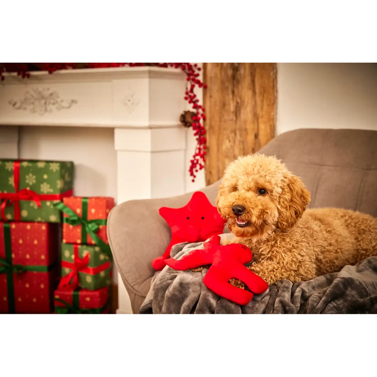 Xmas Weihnachten Christmas Range Hundespielzeug aus Softplüsch