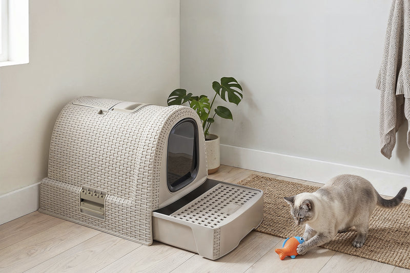 Katzentoilette in Rattanoptik – Stilvolles Katzenklo in neuen Farben