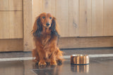 Hundenapf Noar aus Edelstahl – Designed by Lotte | Bronze, Gold, Schwarz