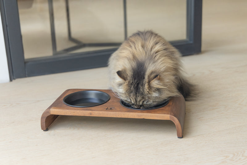 Designed By Lotte Holz Dinnerset Katze Melora – Stilvolle Futterstation aus Akazienholz