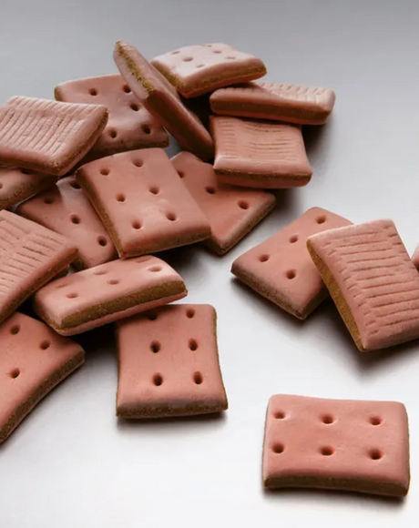 Mera Lachsschnitte Hundekeks – Dein knuspriger Lachs-Snack für pure Freude!