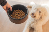 Designed By Lotte Hundenapf Milani aus Akazienholz & Edelstahl – Stilvolles Futterset für Deinen Hund
