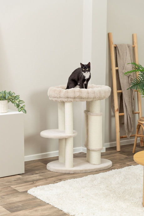 TRIXIE Kratzbaum XXL Elli – Das Katzenparadies für große Samtpfoten