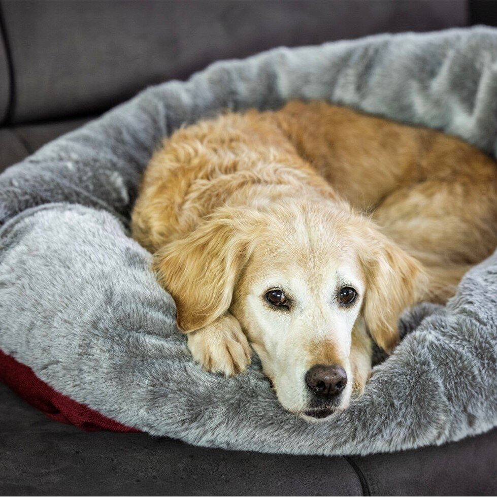 Cuddle Up Hunde Kuschelnest