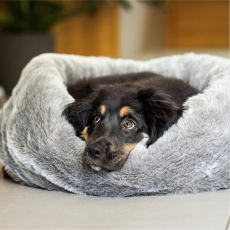 Cuddle Up Hunde Kuschelnest