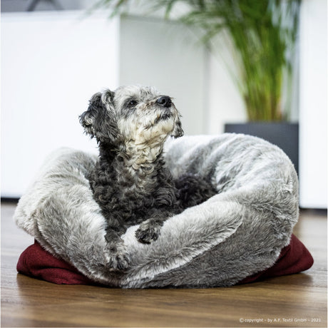 Cuddle Up Hunde Kuschelnest