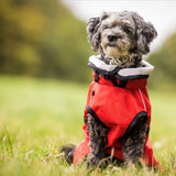 fit4dogs Active Cape Light MINI Hundemantel