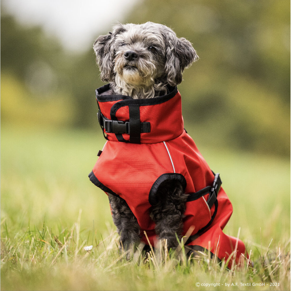 fit4dogs Active Cape Light MINI Hundemantel
