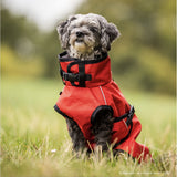 fit4dogs Active Cape Light MINI Hundemantel