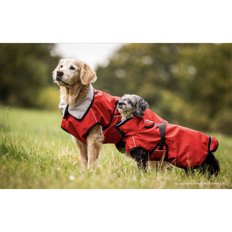 fit4dogs Active Cape Light MINI Hundemantel