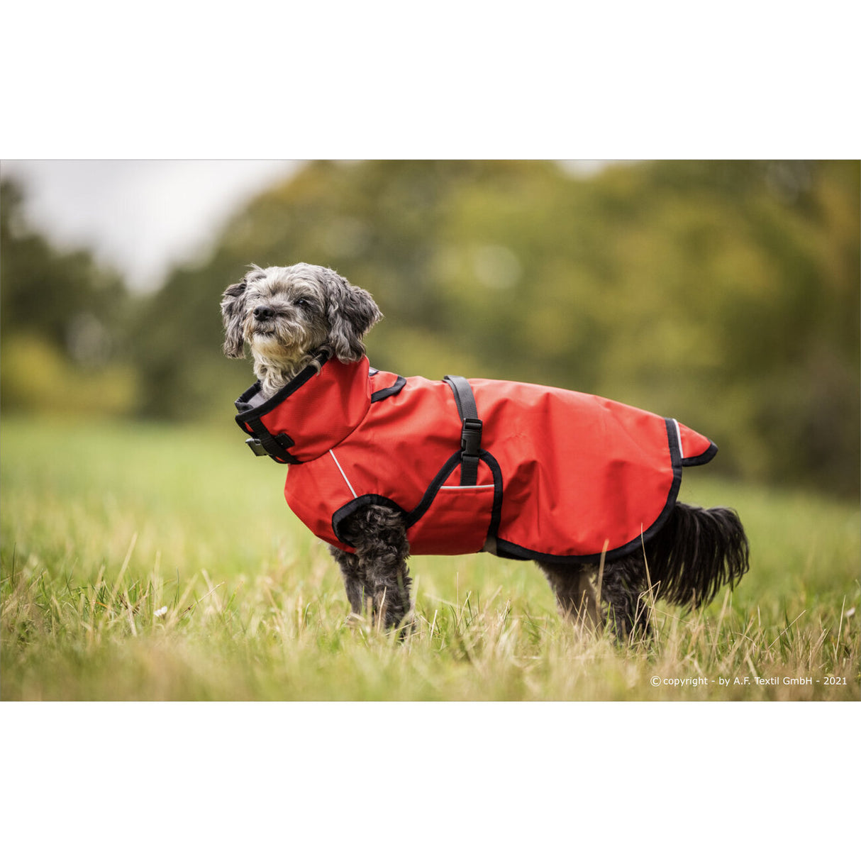 fit4dogs Active Cape Light MINI Hundemantel