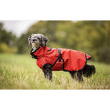 fit4dogs Active Cape Light MINI Hundemantel