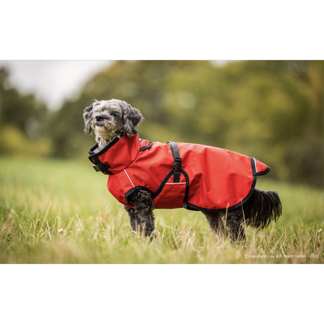 fit4dogs Active Cape Light MINI Hundemantel