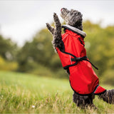 fit4dogs Active Cape Light MINI Hundemantel