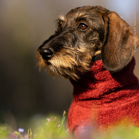 fit4dogs DryUp Cape Trockenmantel für Dackel