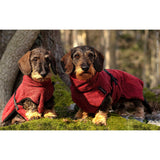 fit4dogs DryUp Cape Trockenmantel für Dackel