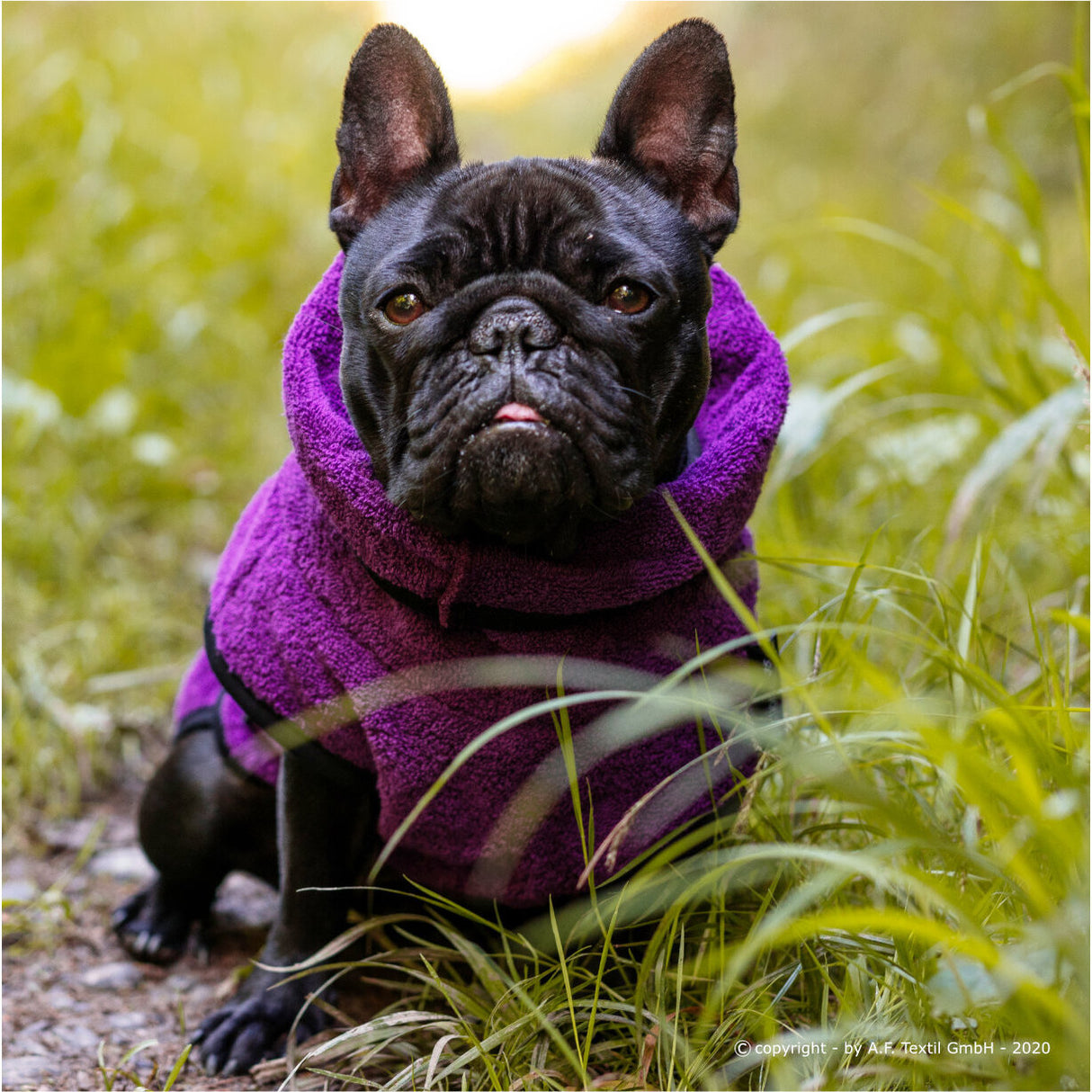 fit4dogs DryUp Cape Trockenmantel für Mops und Co