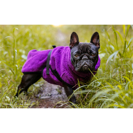 fit4dogs DryUp Cape Trockenmantel für Mops und Co