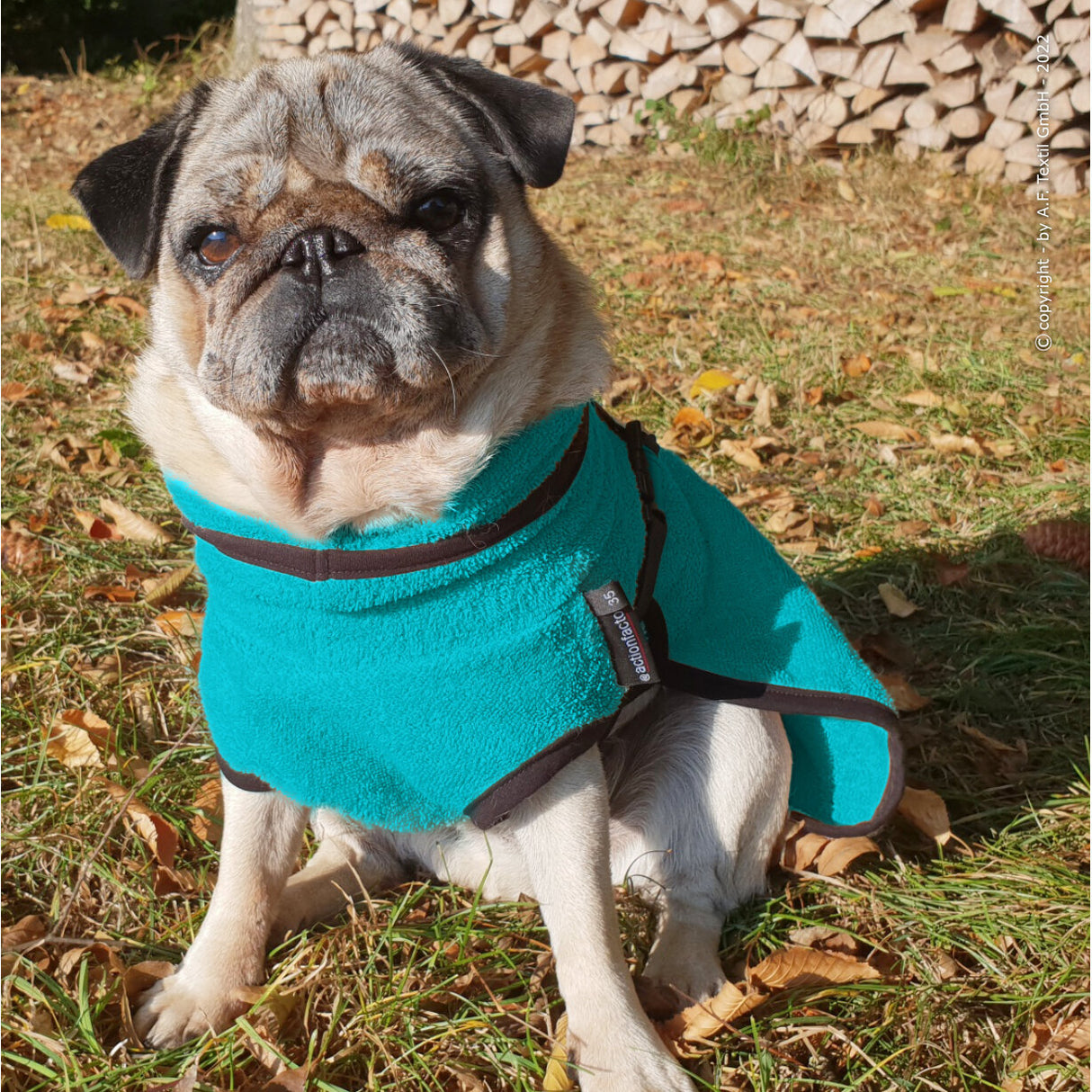 fit4dogs DryUp Cape Trockenmantel für Mops und Co
