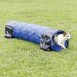 Agility Tunnel für Welpen und kleine Hunde
