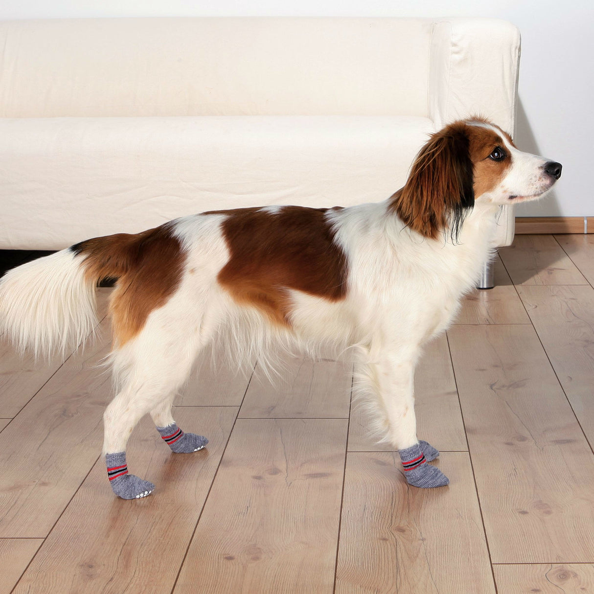 Anti Rutsch Hundesocken aus Baumwolle