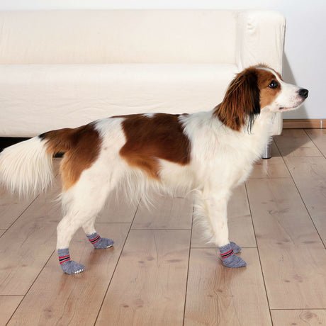 Anti Rutsch Hundesocken aus Baumwolle