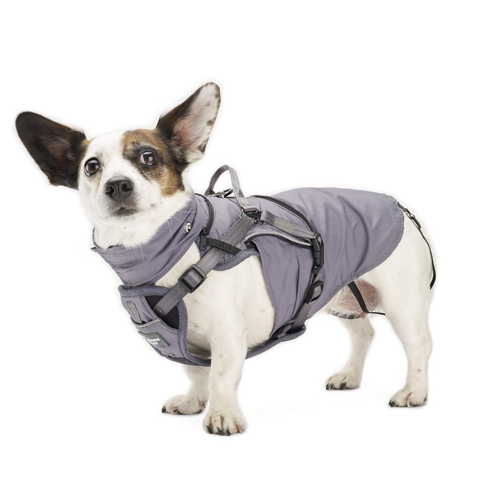 2-in-1 All Weather Hundegeschirr mit Jacke