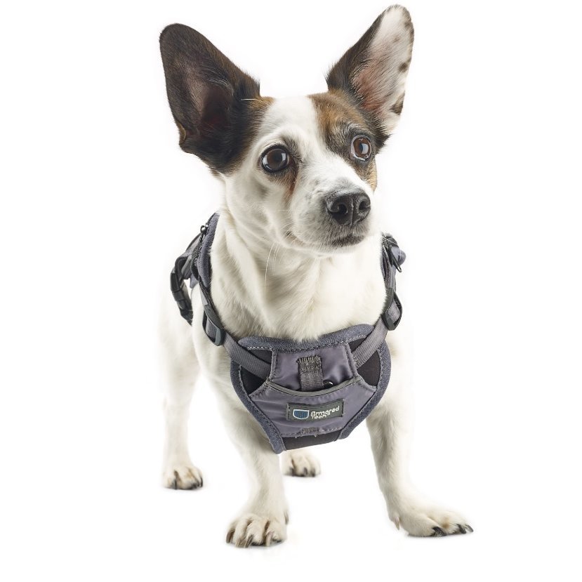 2-in-1 All Weather Hundegeschirr mit Jacke