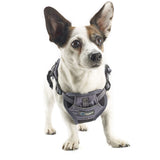 2-in-1 All Weather Hundegeschirr mit Jacke