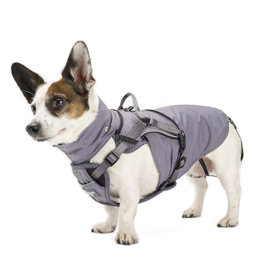 2-in-1 All Weather Hundegeschirr mit Jacke