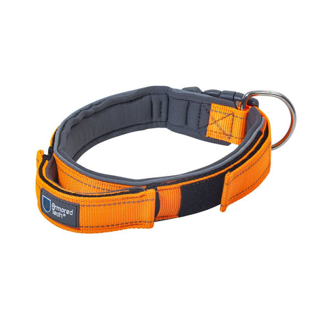 Hundehalsband mit Griff