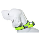 Hundehalsband mit Griff