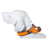 Hundehalsband mit Griff