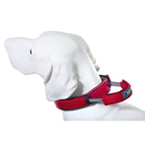 Hundehalsband mit Griff