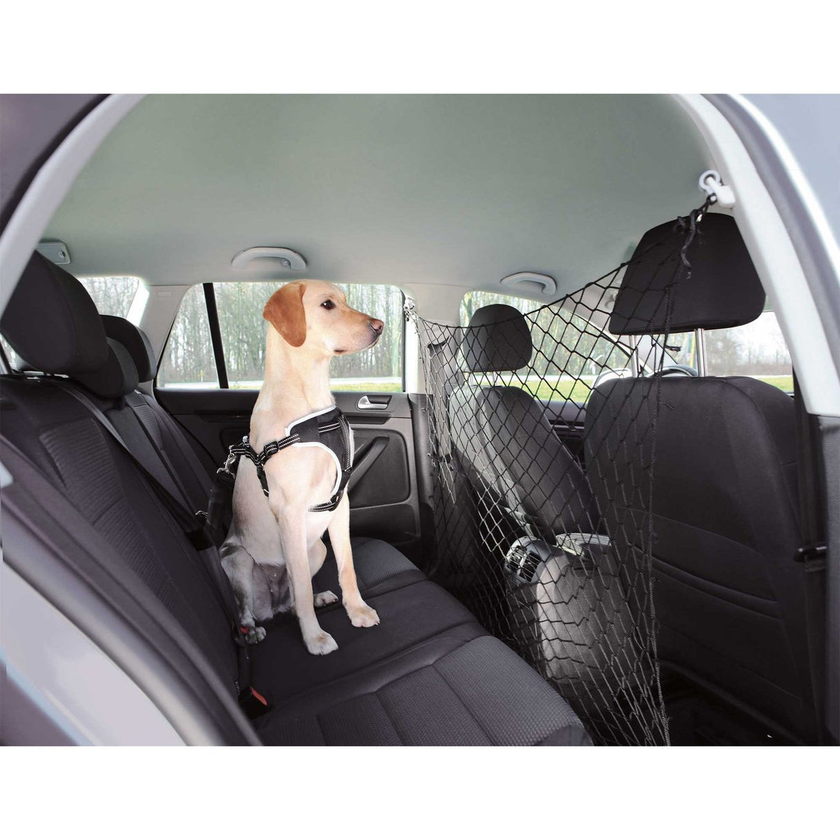 Autonetz Schutznetz für Hunde