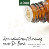 AniForte Bachblüten Wohlfühl Globuli für Hunde& Katzen 15 g